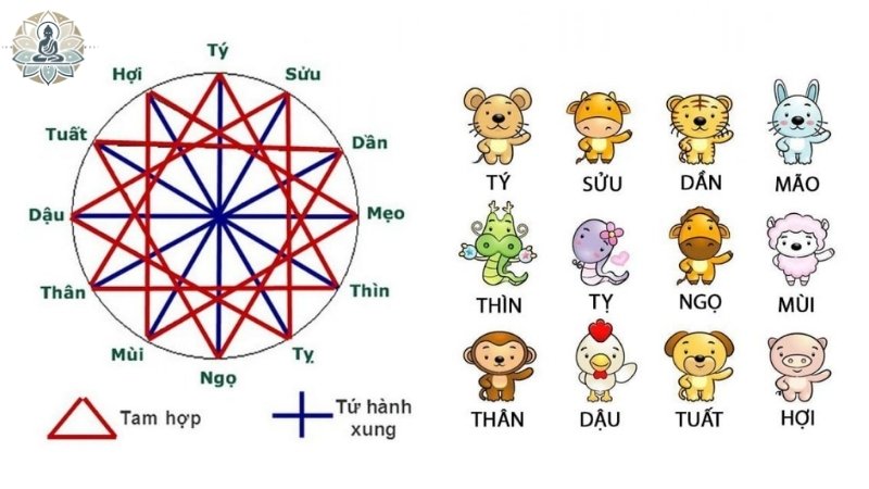 Các cặp tứ hành xung trong ngũ hành