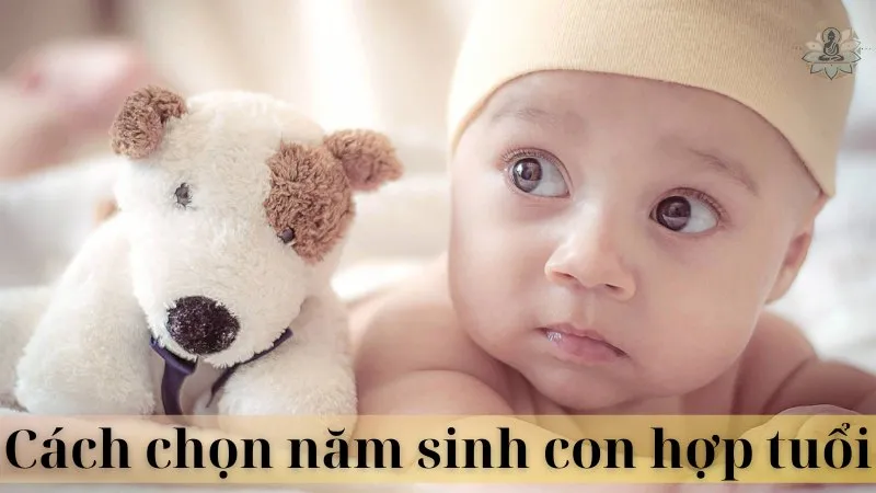 Sinh con hợp tuổi làm ăn bố mẹ 05