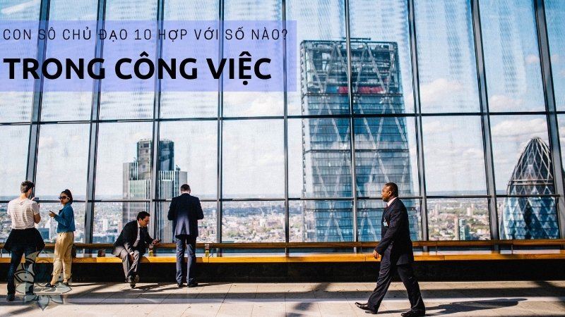 Số chủ đạo 10 hợp với số nào trong công việc