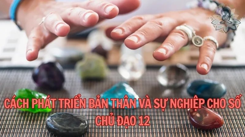 Cách phát triển bản thân và sự nghiệp cho số chủ đạo 12