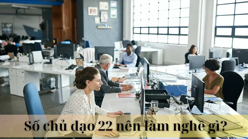 Số chủ đạo 22 nên làm nghề gì 09