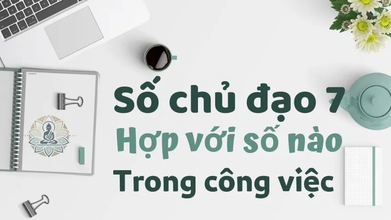 Số chủ đạo 7 hợp với số nào trong công việc