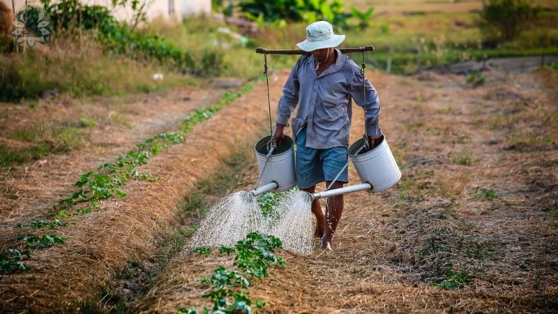 Tầm quan trọng của hội Nông dân Việt Nam trong thời đại hiện nay 