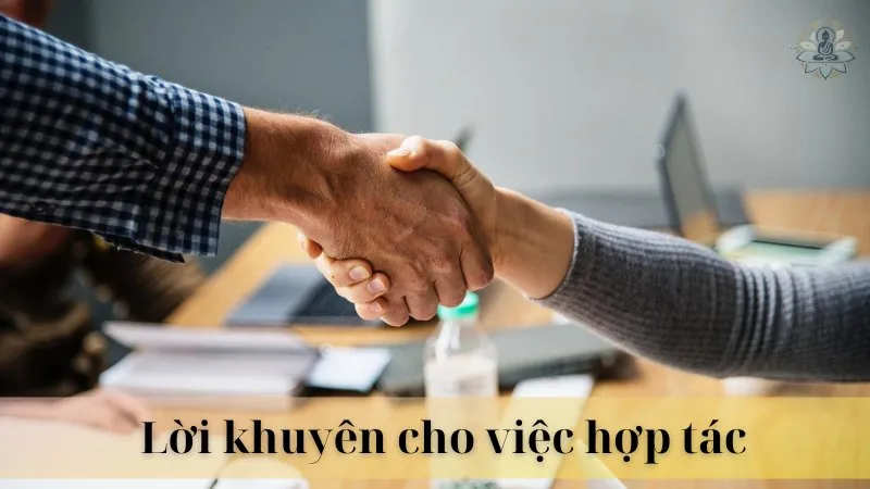 Tuổi 78 và 82 có hợp làm ăn không 13