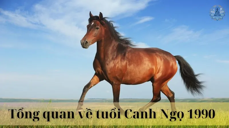 Tuổi hợp làm ăn với canh ngọ 03