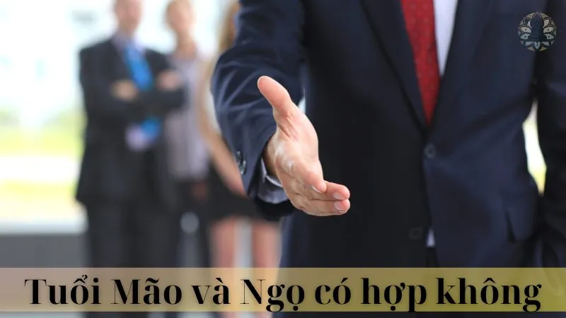 Tuổi mão và tuổi ngọ có hợp làm ăn không 07