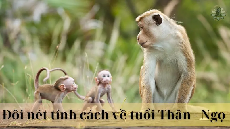 Tuổi thân với tuổi ngọ có hợp làm ăn không 03