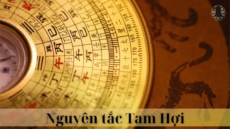 Tuổi thìn và tuổi hợi có hợp làm ăn không 07