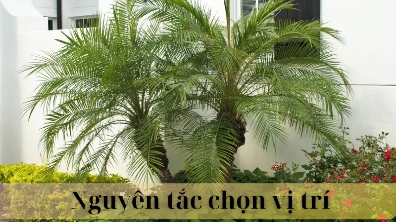 Vị trí đặt cây hợp phong thủy 03