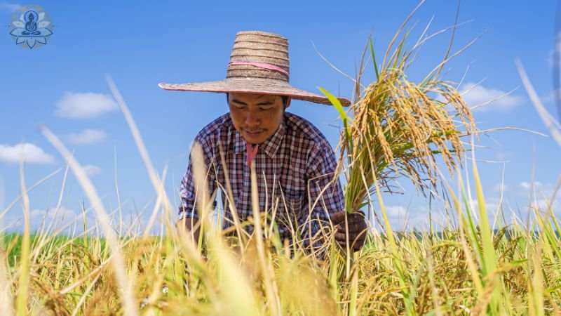 Ý nghĩa của ngày thành lập hội Nông dân Việt Nam 2